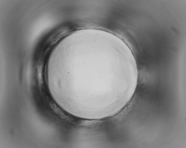 X0000115171150200911121734
