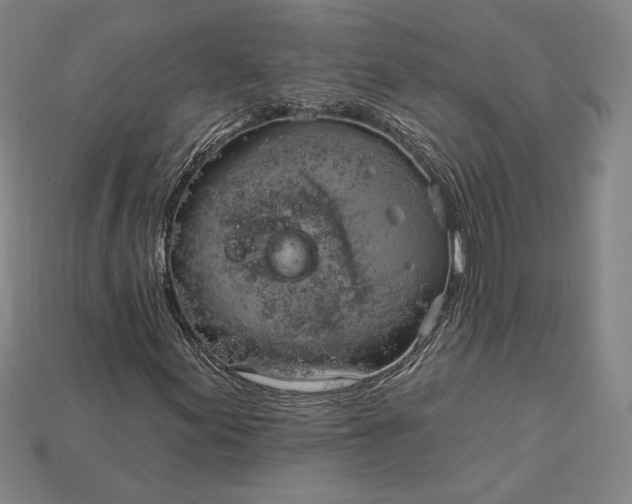 X0000115171155200911121733