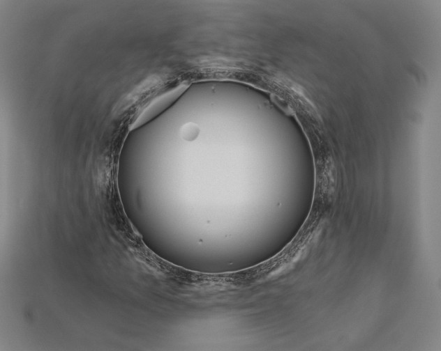 X0000115171157200911121733