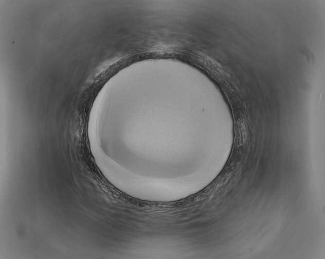 X0000115171158200911121733