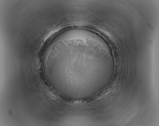 X0000115171160200911121733