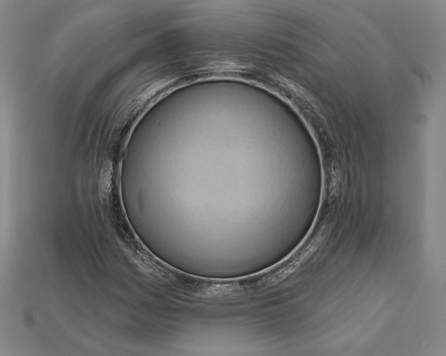 X0000115171161200911121733