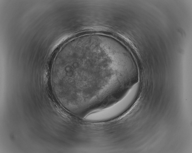 X0000115171163200911121733