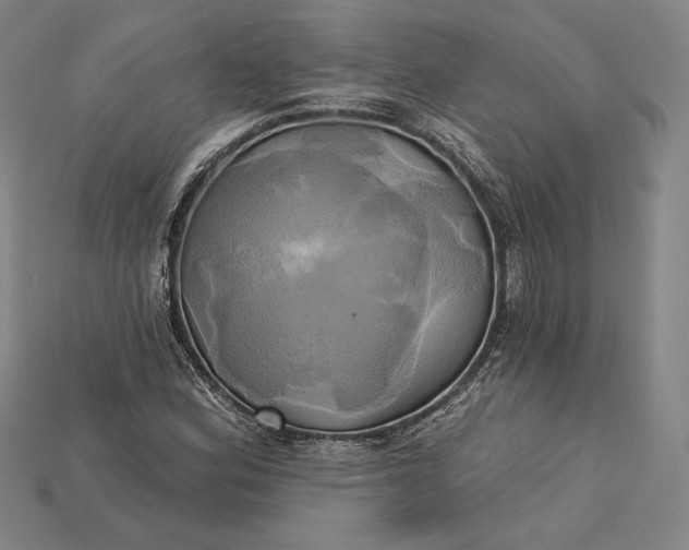 X0000115171164200911121733