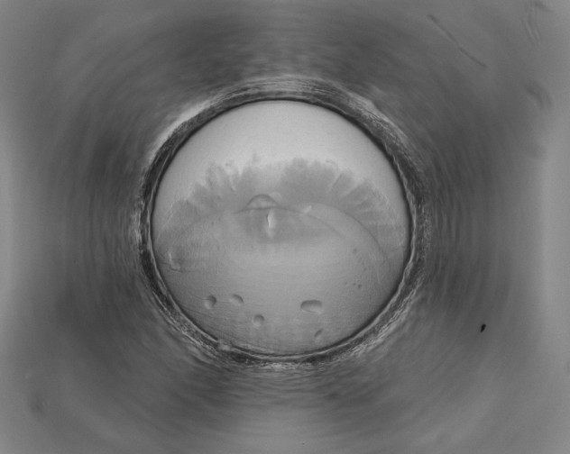 X0000115171166200911121733