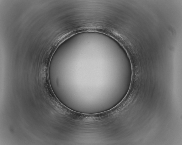 X0000115171169200911121733