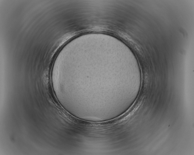 X0000115171170200911121733