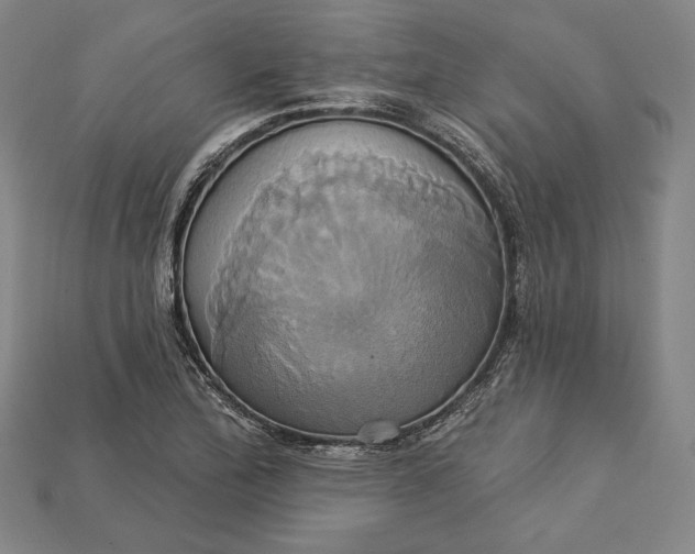 X0000115171172200911121733