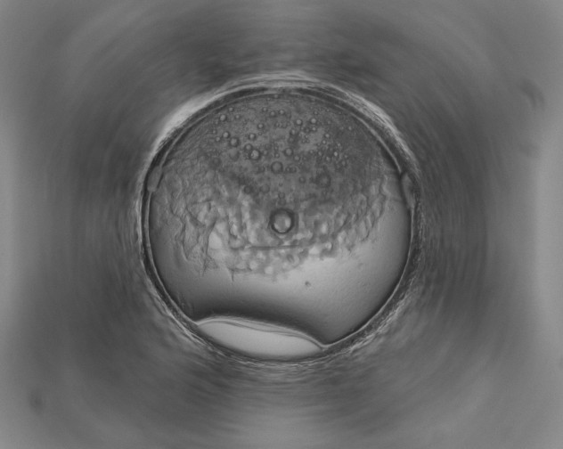 X0000115171176200911121733