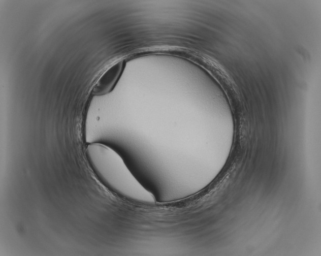 X0000115171177200911121733