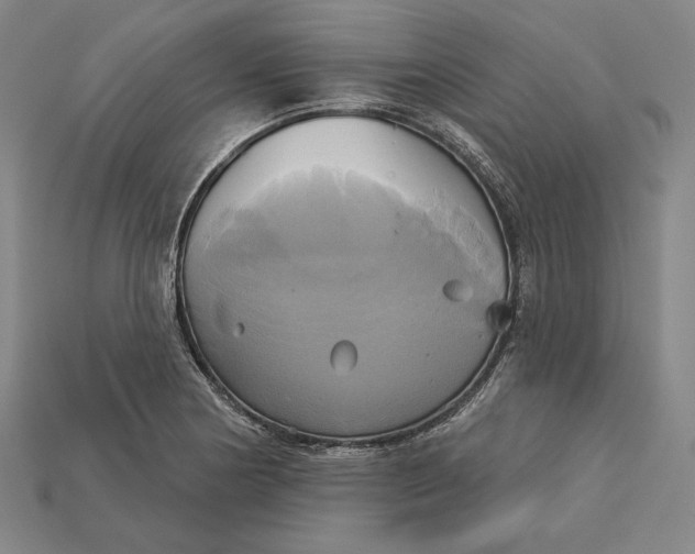 X0000115171178200911121733