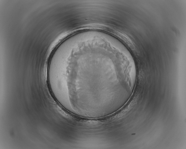 X0000115171180200911121733