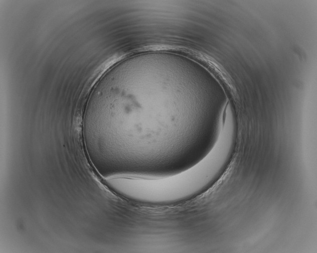 X0000115171185200911121733