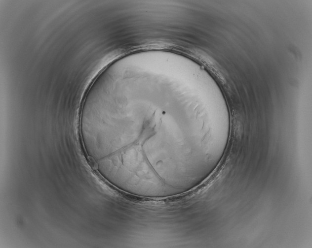 X0000115171186200911121733