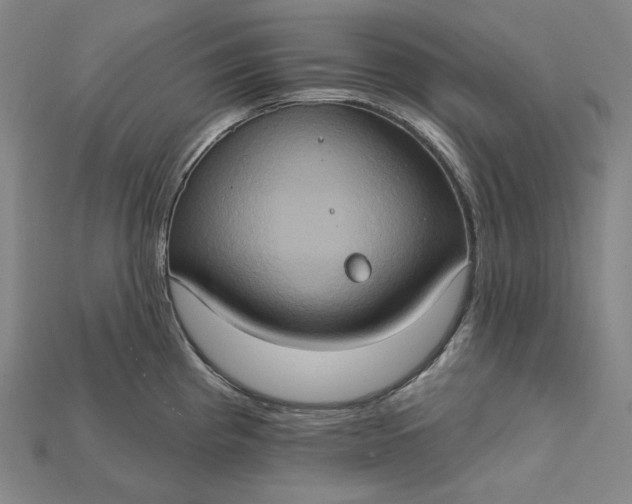 X0000115171193200911121732