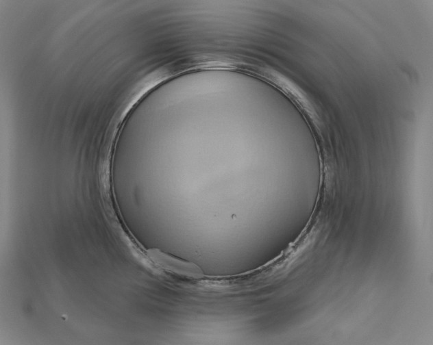 X0000115171194200911121732