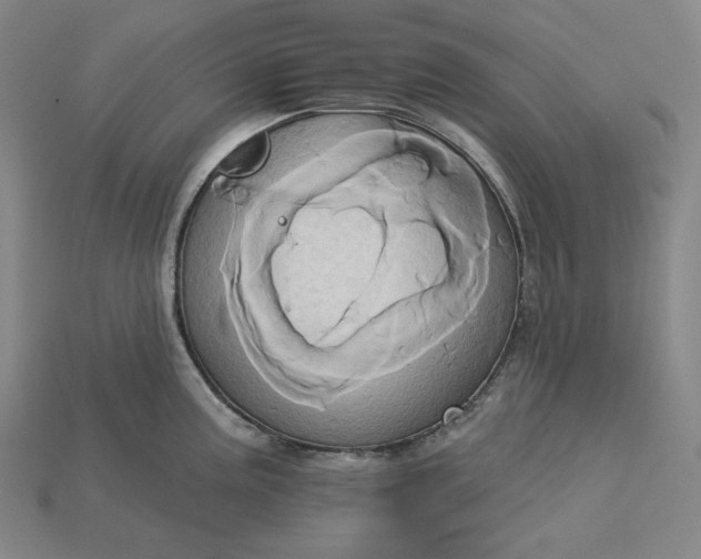 X0000115171195200911121732