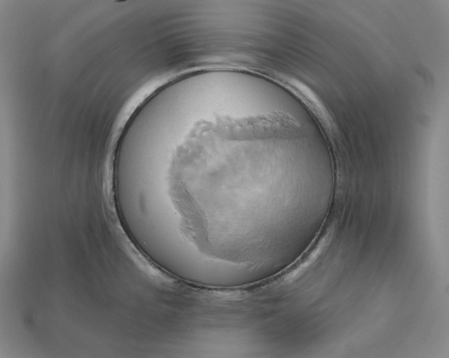 X0000115171196200911121732