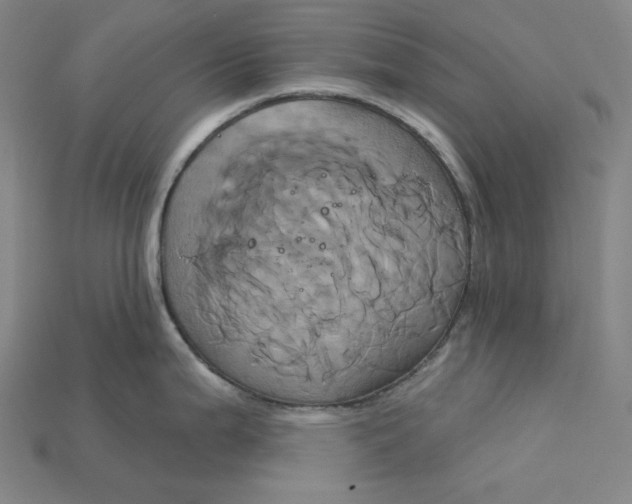 X0000115171199200911121732