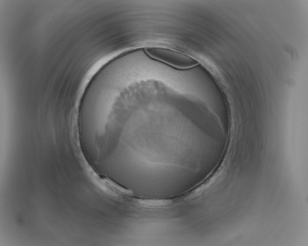 X0000115171200200911121732