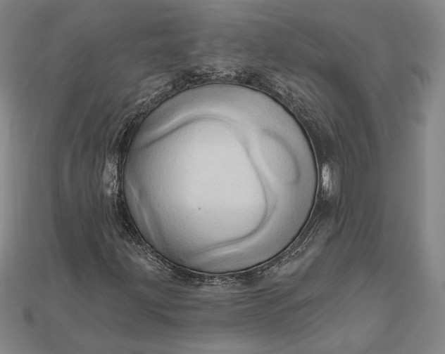 X0000115171203200911121732