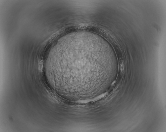 X0000115171204200911121732