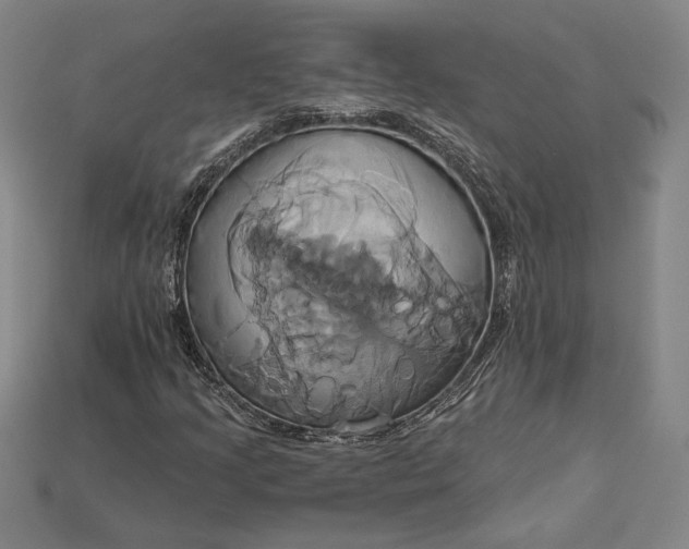 X0000115171205200911121732