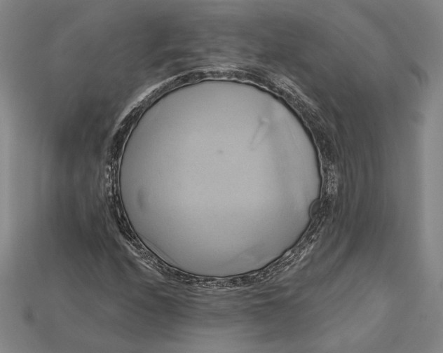 X0000115171208200911121732