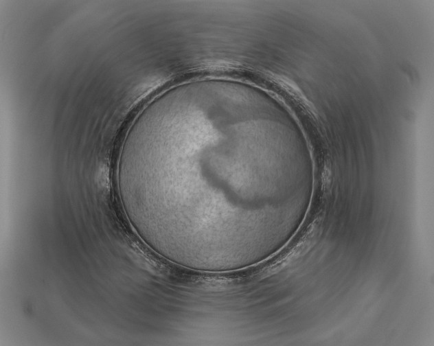 X0000115171209200911121732