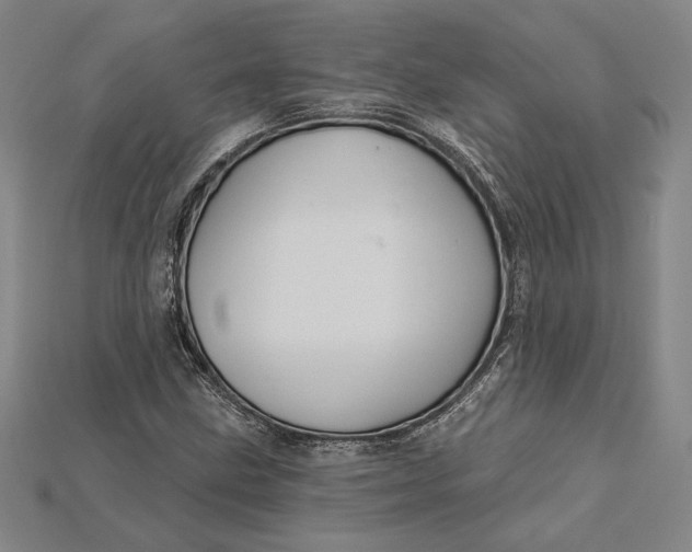 X0000115171211200911121732