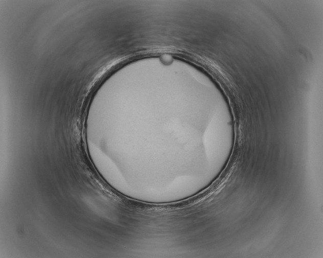 X0000115171212200911121732