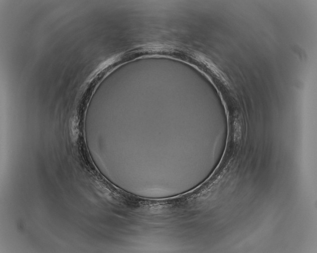 X0000115171213200911121732