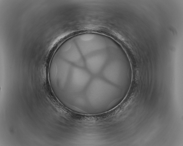 X0000115171214200911121732