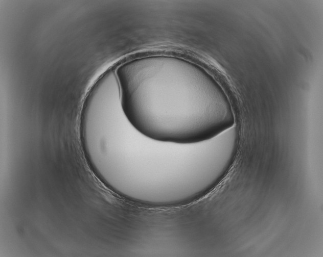 X0000115171216200911121732
