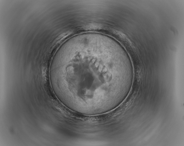 X0000115171217200911121732