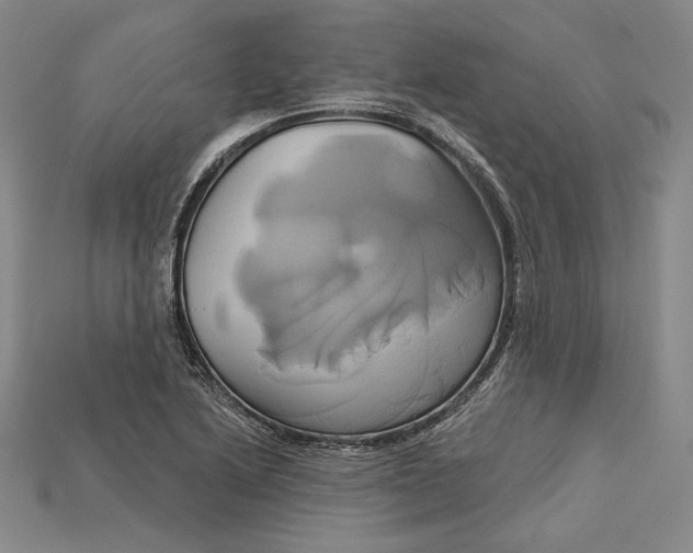 X0000115171222200911121732
