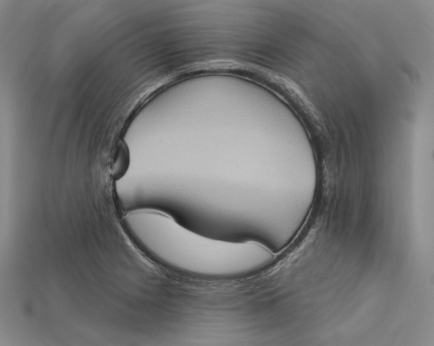 X0000115171225200911121732