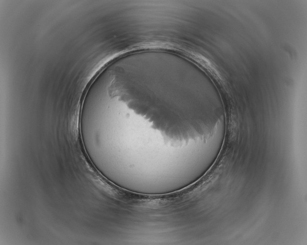 X0000115171228200911121732