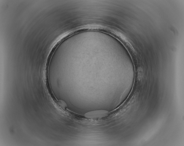 X0000115171229200911121732