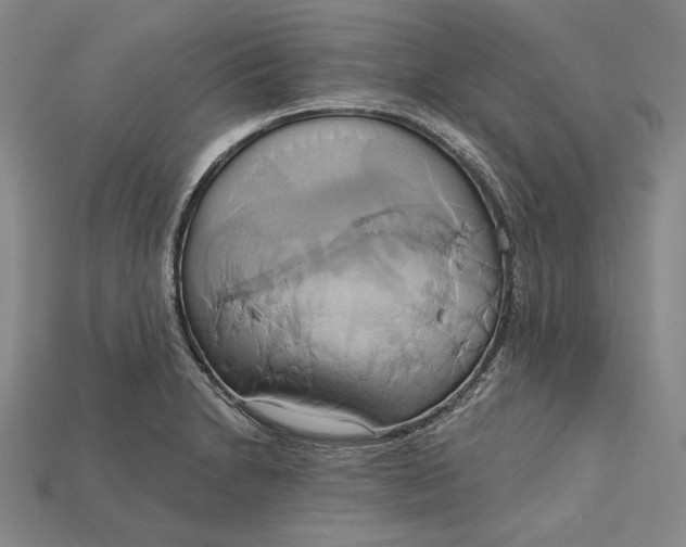 X0000115171230200911121732
