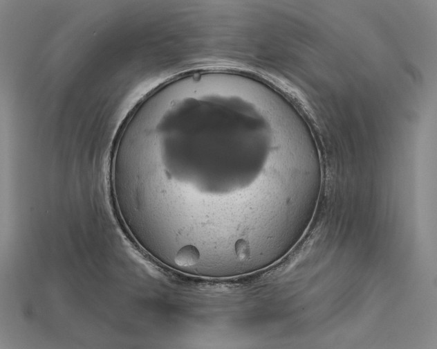 X0000115171231200911121732