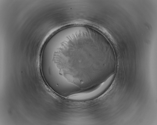 X0000115171232200911121732