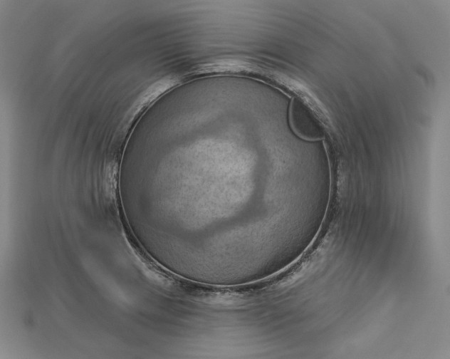 X0000115171233200911121732