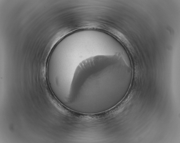 X0000115171234200911121732