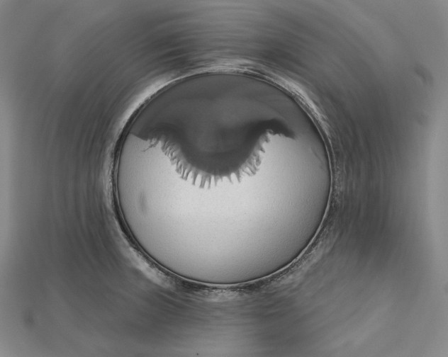 X0000115171235200911121732