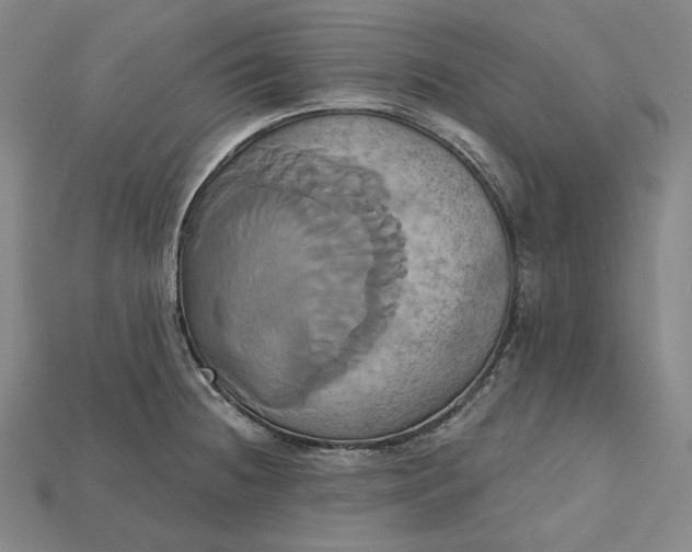 X0000115171236200911121732
