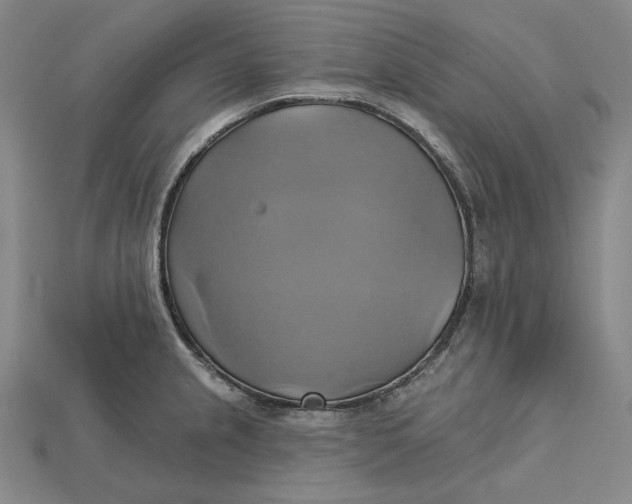 X0000115171237200911121732