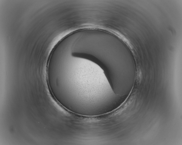 X0000115171239200911121732