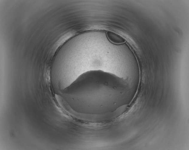 X0000115171241200911121732