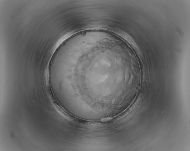 X0000115171242200911121732